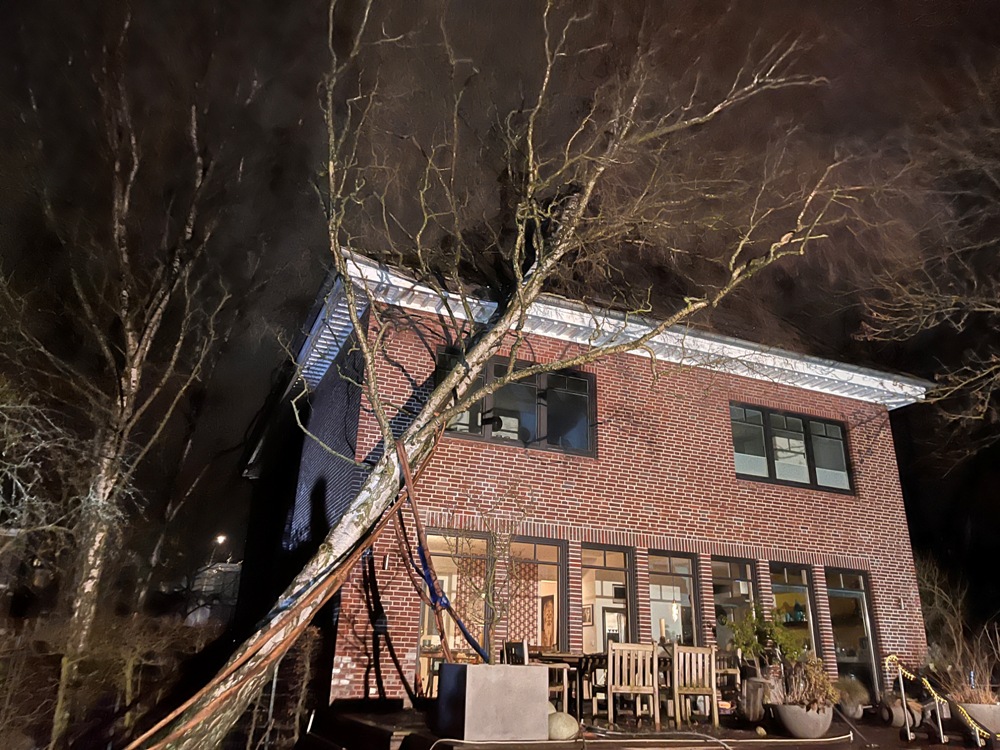 Ein Baum war auf ein Hausdach gefallen und hat sich zum Teil in diesem verkeilt.