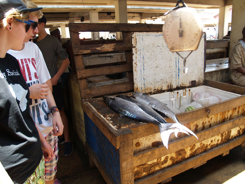 Fischmarkt in Dar es Salaam