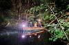 Bergungsgruppen beseitigen Baum im Inselkanal